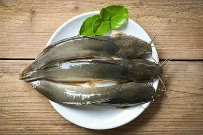 Daftar 5 Ikan di Indonesia ...