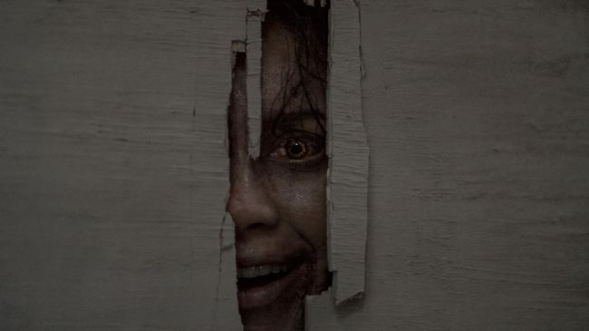 Sinopsis Evil Dead Burn: Re...