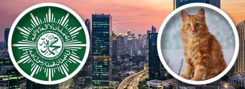 Muhammadiyah Resmi Luncurka...