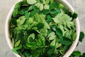 6 Manfaat Daun Kelor untuk Kesehatan: Bisa untuk Lancarkan ASI hingga Kontrol Gula Darah!