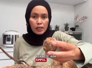 Kimpul Itu Apa? Umbi Tradis...