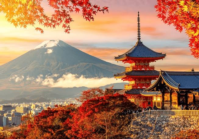 Keren, Pemerintah Jepang Potong Tarif Pajak. Mungkin Cara Bisa Ditiru Indonesia