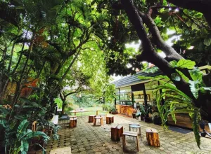 Mau Slow Living di Tengah J...