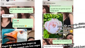 Ayu Ting Ting Spill Chat Bu...