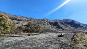 Atasi Kebakaran di Kawasan Bromo, Berikut Hal yang Dilakukan oleh Kementerian Pariwisata