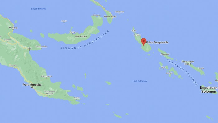 Bukan Bunga! 5 Fakta Bougai...