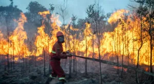 Jangan Keliru! Ini Perbedaa...