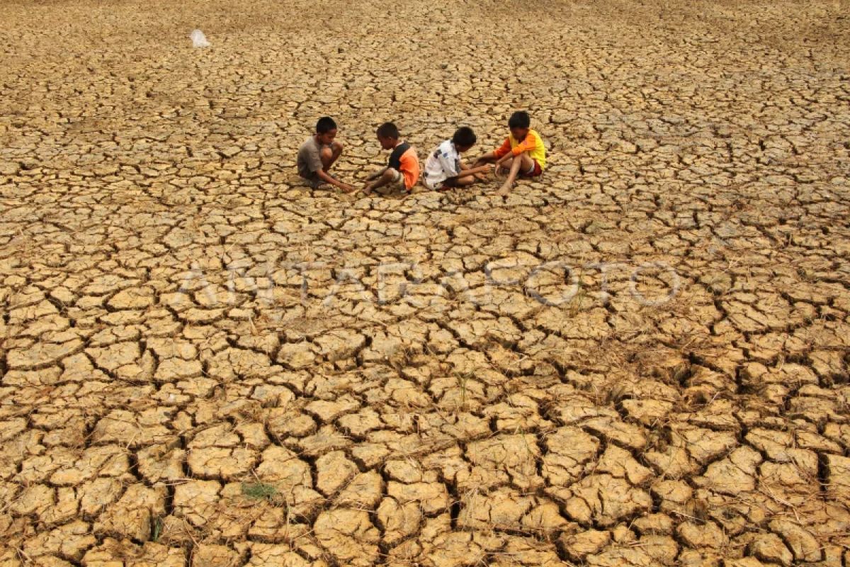 Waduh, Hingga 2027 Cuaca Ekstrem Diprediksi akan Terjadi Akibat El Nino yang Semakin Kuat