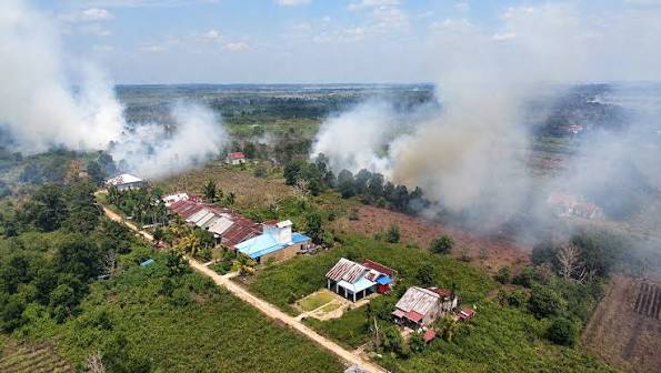 Penyegelan terhadap Usaha Pelaku Karhutla Belum Cukup Berikan Efek Jera, Hukumannya harus Lebih Berat