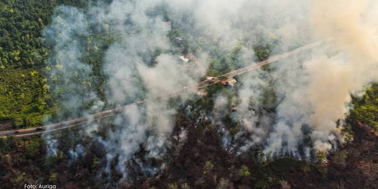 Sedih, 3.700 Jiwa Melayang di 15 Provinsi Akibat Karhutla dan Non Karhutla