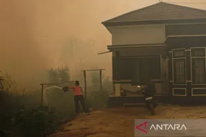 Di Tengah Karhutla yang Mel...