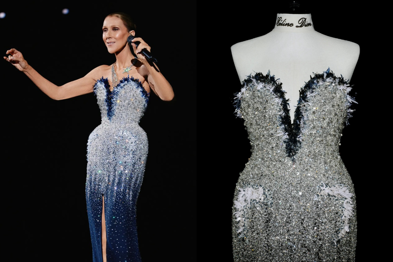 Celine Dion Pakai Gaun Chan...
