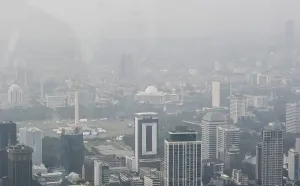 Asap Karhutla Kalimantan Te...